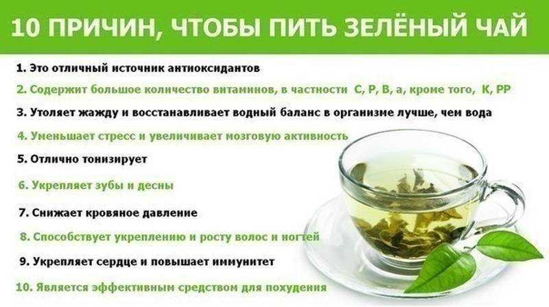 Духи с запахом мускуса: 20 женских ароматов | bonamoda