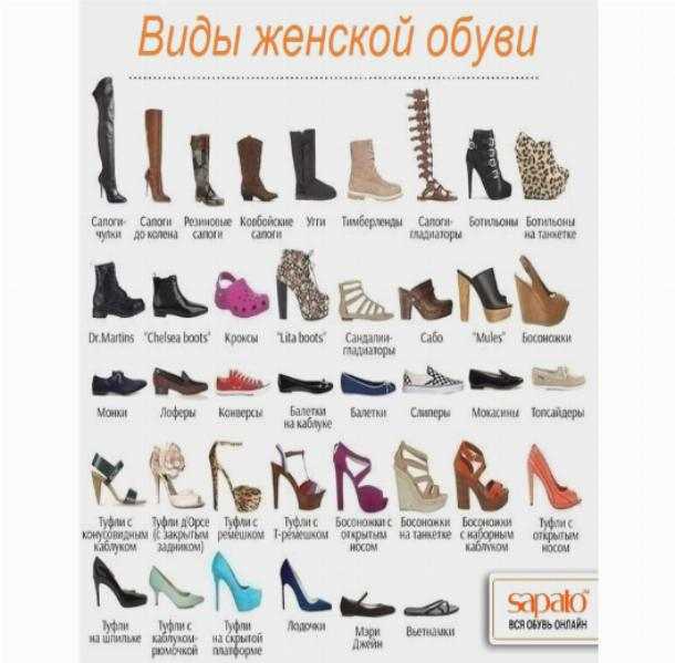 Обувь разновидность названия. Женская обувь названия моделей. Название обуви. Наименование обуви женской. Название модной обуви.