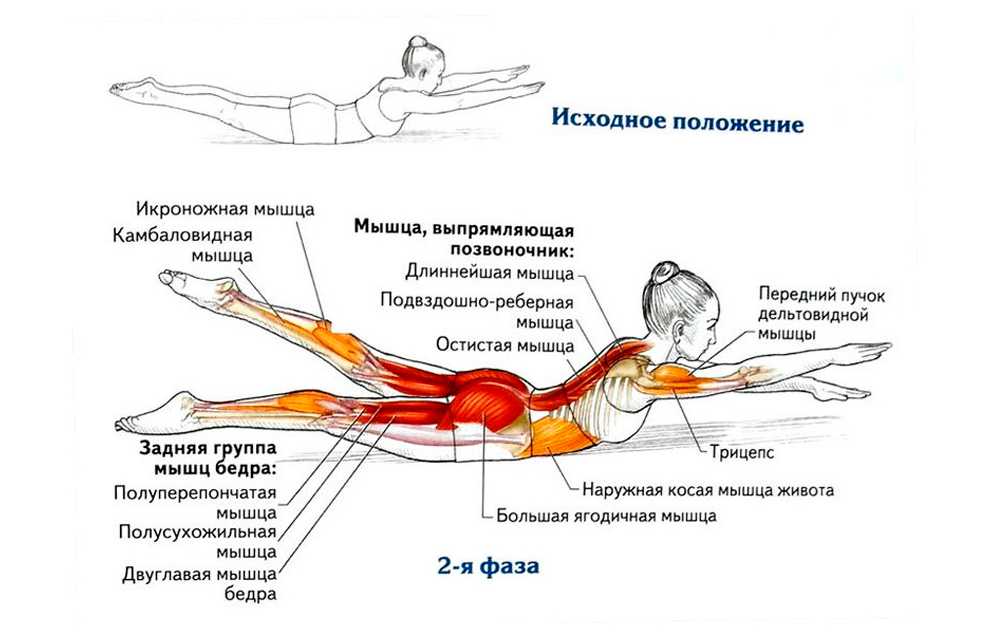 Формирование кубиков на животе. создание атлетичного тела.
