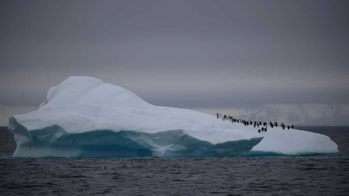 Что такое айсберг: как образуется, основные виды
