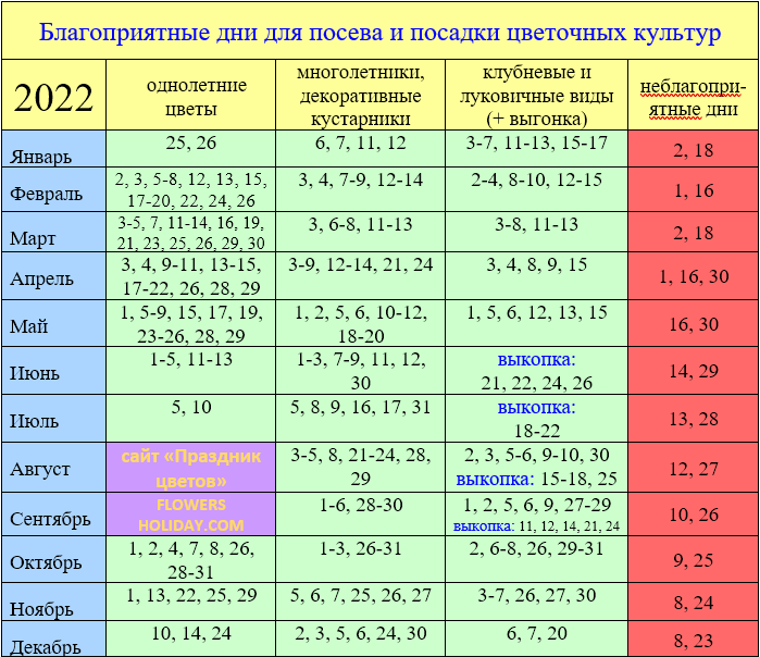 Стрижка в июле 2022 по лунному календарю