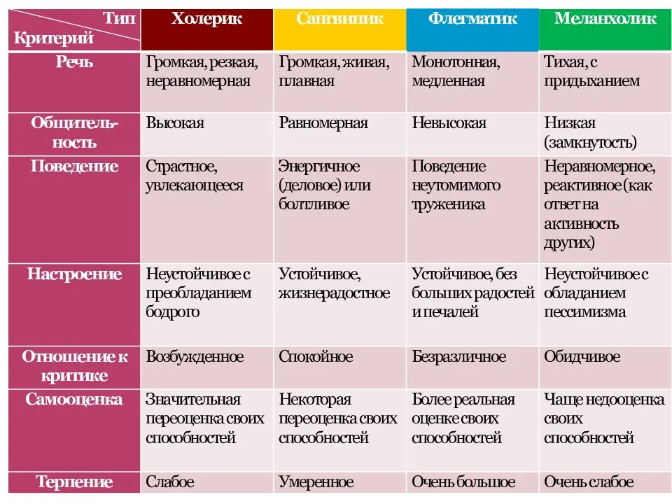 Типы темперамента краткая характеристика картинки