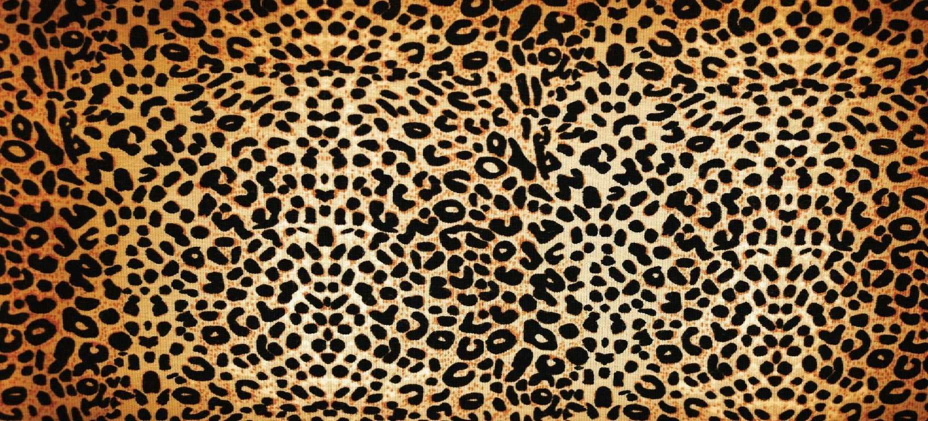Леопардовый принт в моде – главные тенденции осени 2020