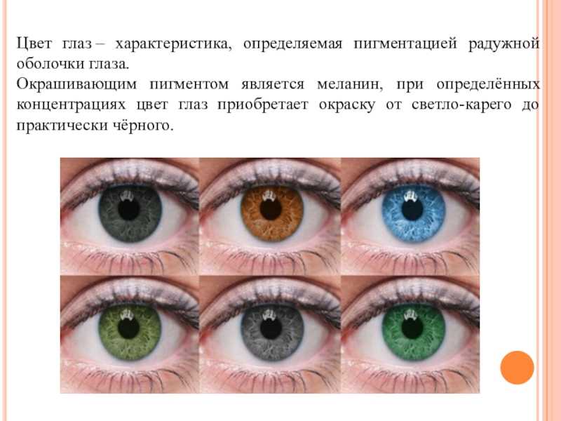 Какого цвета бывают глаза и от чего это зависит