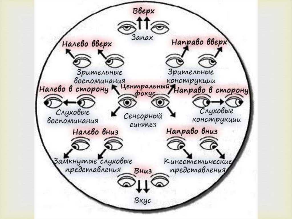 Взгляд в глаза психология. Направление взгляда человека. Положение глаз. Движение глаз психология. Направление взгляда психология.