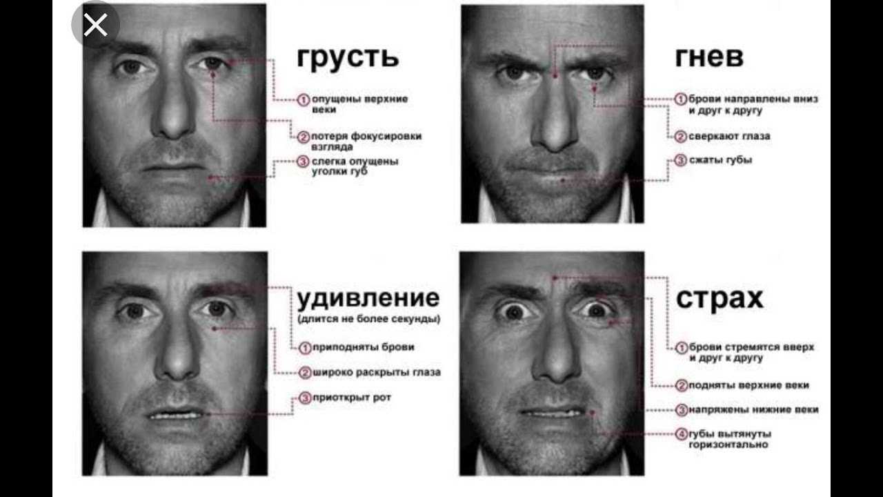 Что можно понять по выражению лица. Восемь эмоций человека. 8 Основных эмоций. Эмоции на лице страх, обман, ложь. Восемь базовых эмоций человека в картинках.