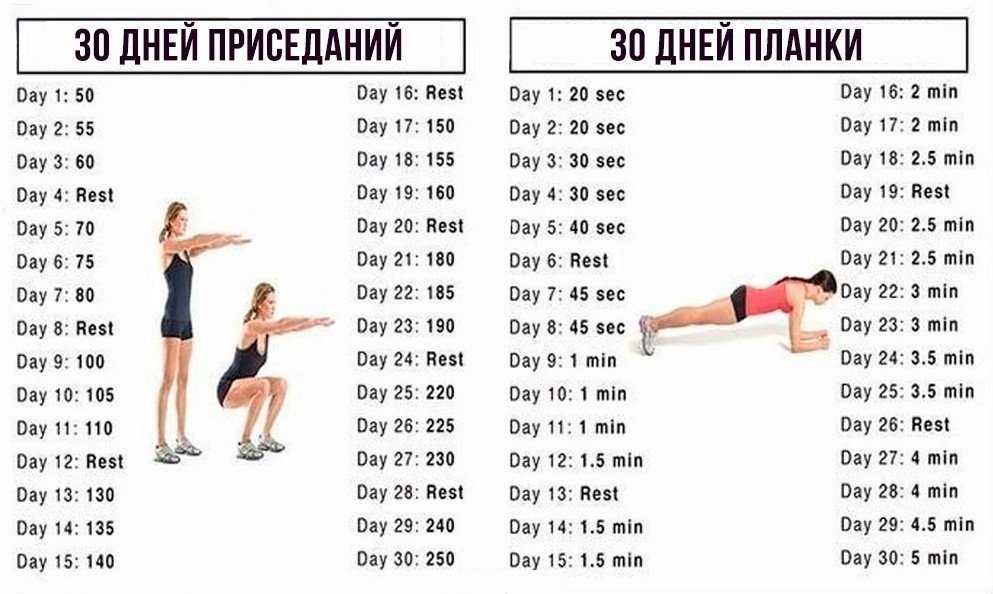 Упражнения на ноги в тренажерном зале для девушек: 2 комплекса накачки ног, ягодиц и бедер для женщин, чтобы сделать их красивыми